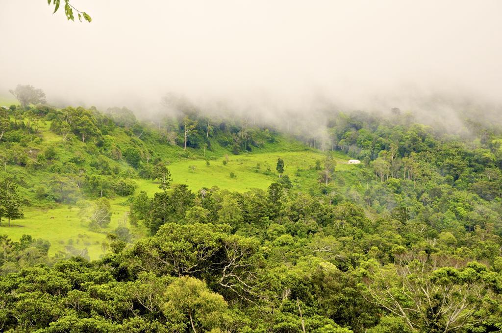 Escarpment Retreat & Day Spa For Couples Mount Tamborine Esterno foto