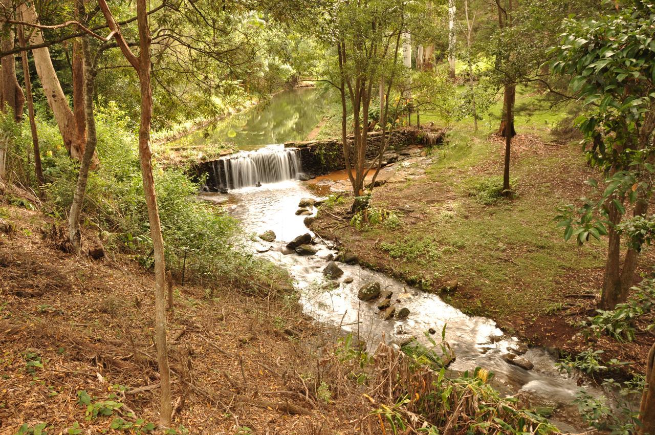 Escarpment Retreat & Day Spa For Couples Mount Tamborine Esterno foto