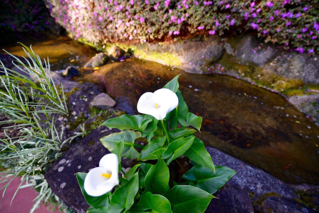 Escarpment Retreat & Day Spa For Couples Mount Tamborine Esterno foto